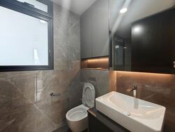 Irwell Hill Residences (D9), Apartment #479757081